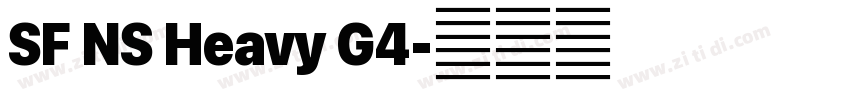 SF NS Heavy G4字体转换 SF NS Heavy G4字体转换